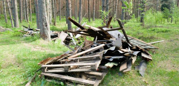 Debris Removal Service in Estero