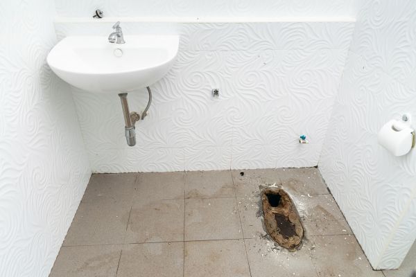 Toilet Disposal in Estero